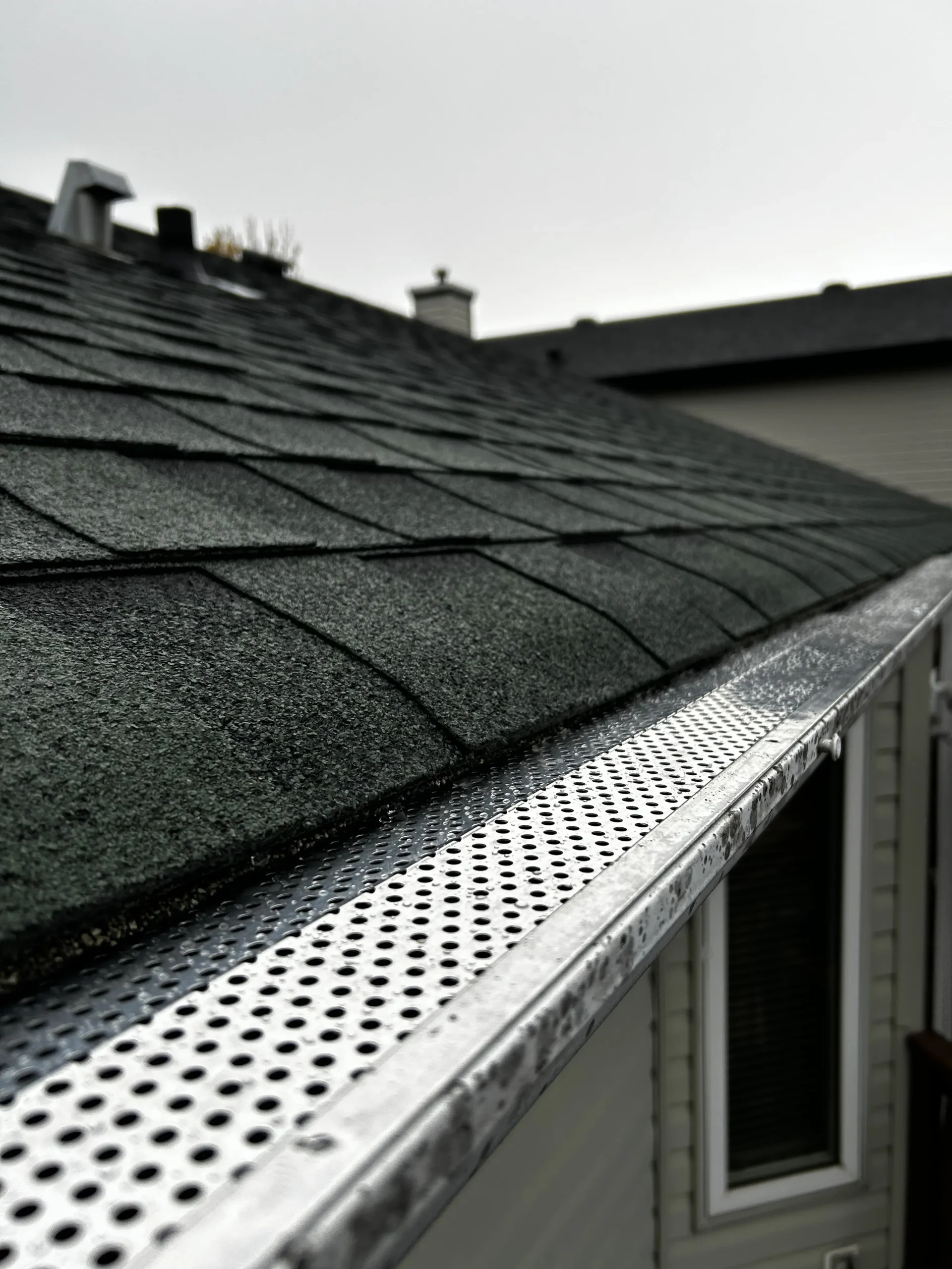 Gutter Guards Edmonton, LeafFilter, Gutter protection, Leafguard