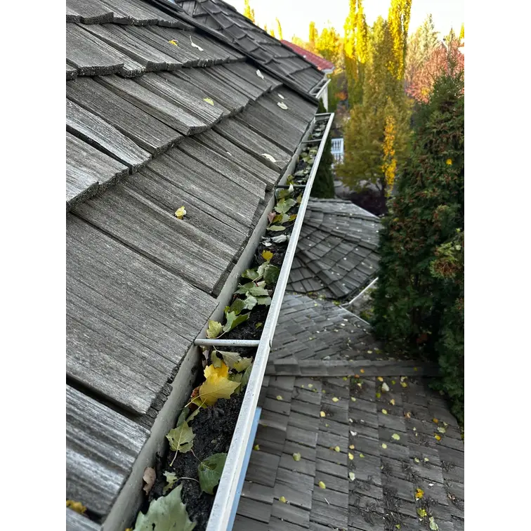 Gutter Cleaning, Eavestrough Cleaning