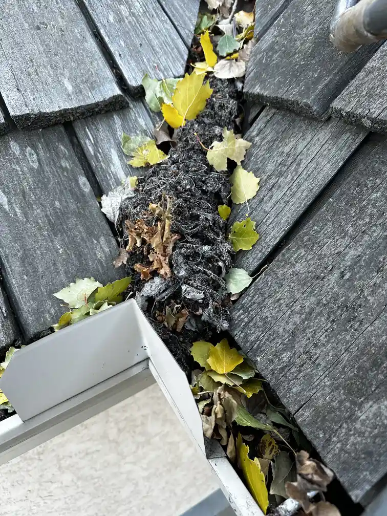 Gutter Cleaning, Eavestrough Cleaning